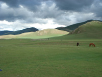Inner Mongolian